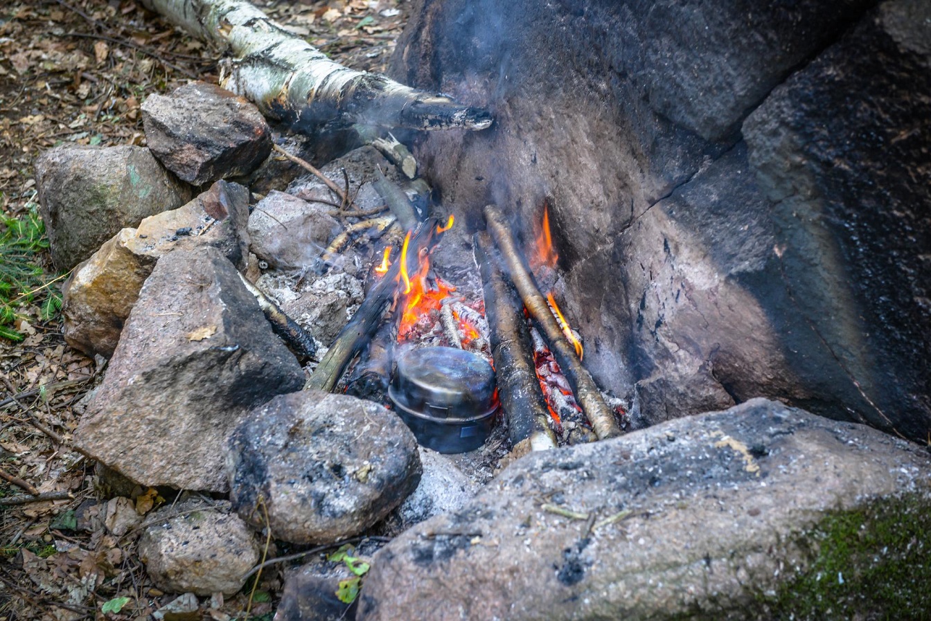 Přírodní kuchyně